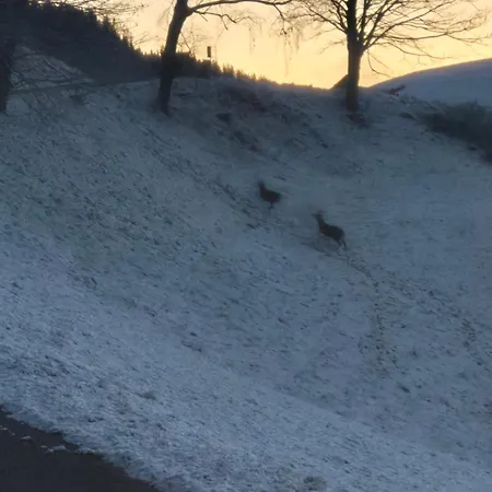 Restaurant Raunig Hotel 3*