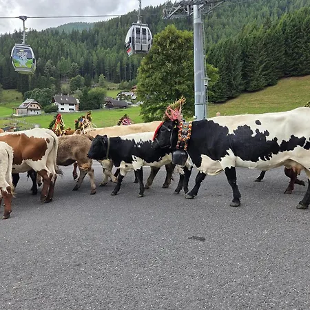 Hotel Restaurant Raunig Hotel Bad Kleinkirchheim