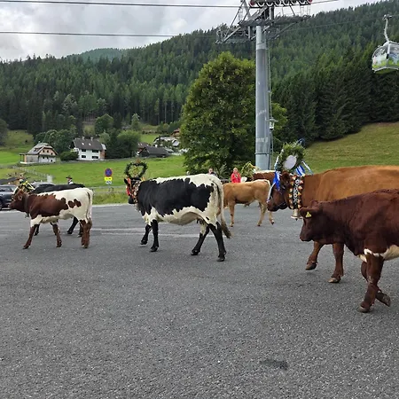 Hotel Restaurant Raunig 3* Bad Kleinkirchheim