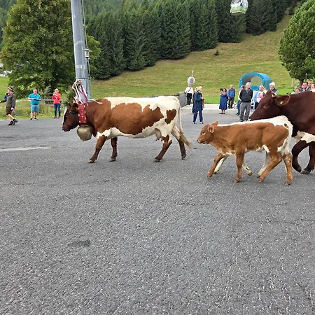 Hotel Restaurant Raunig 3*