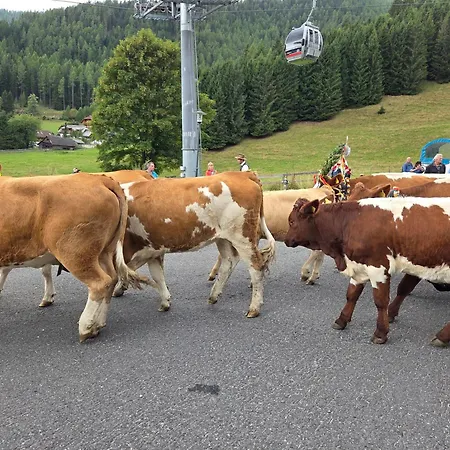 Hotel Restaurant Raunig 3* Bad Kleinkirchheim