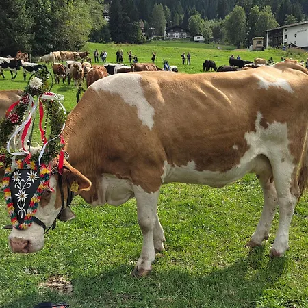 Hotel Restaurant Raunig Hotel