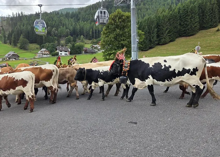 Restaurant Raunig Готель Бад-Кляйнкірхгайм